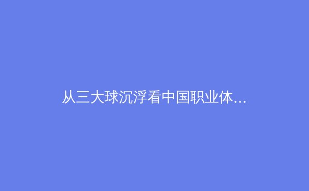 从三大球沉浮看中国职业体育困局：金元泡沫散去后的价值重构 - 4